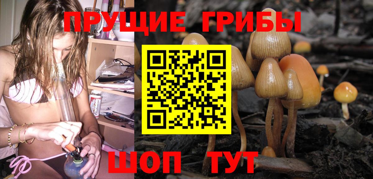 Псилоцибиновые грибы Psilocybine cubensis  Вход с VPN  Топки 
